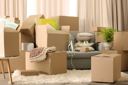 Professional removal helper loading furniture into a van